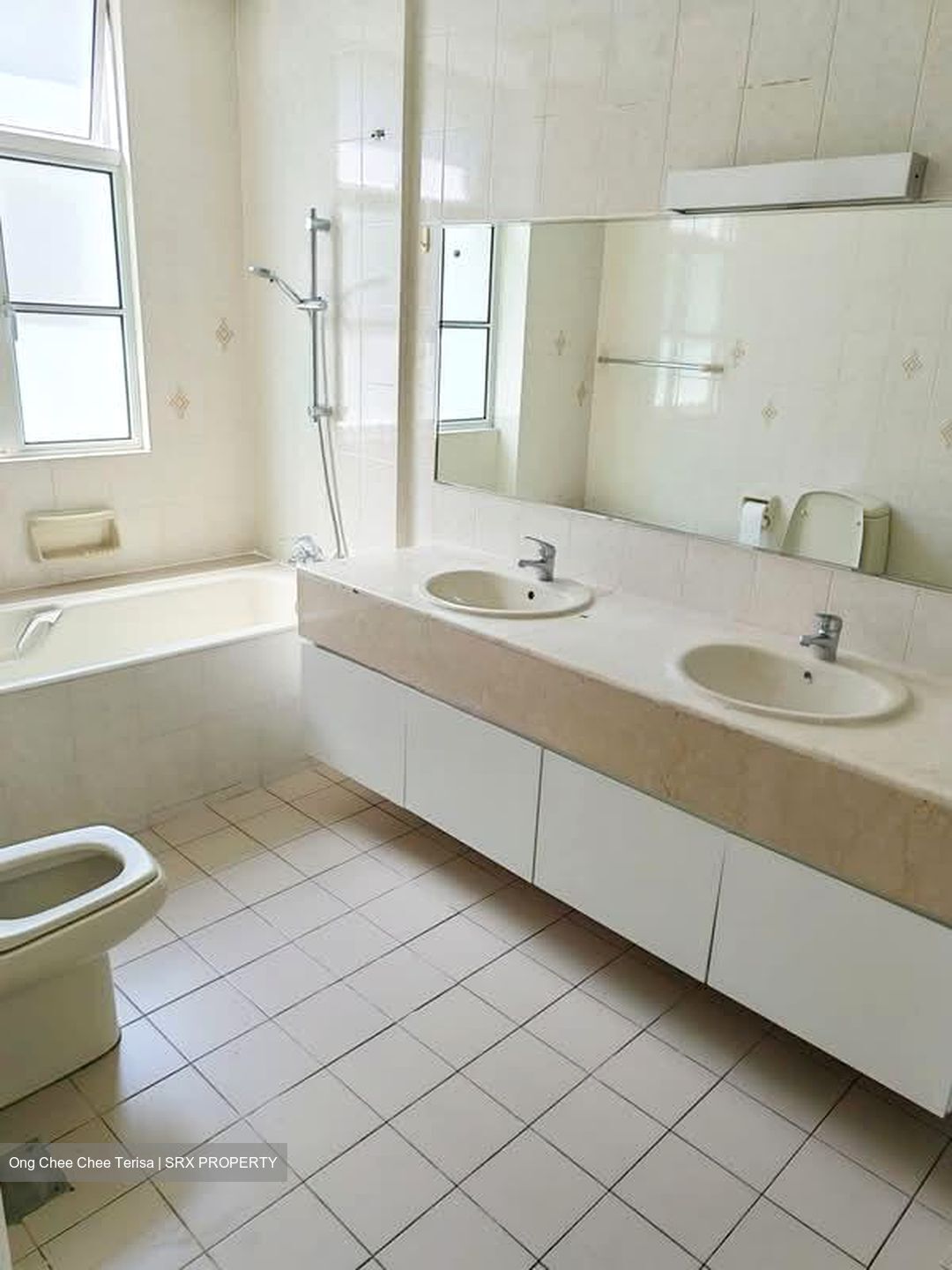 La Suisse (D11), Condominium #583420281